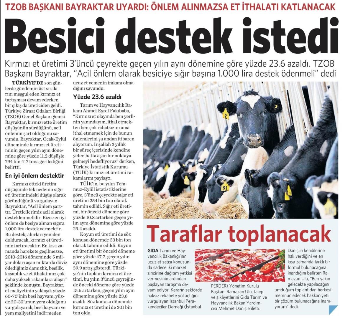 VATAN GAZETESİ