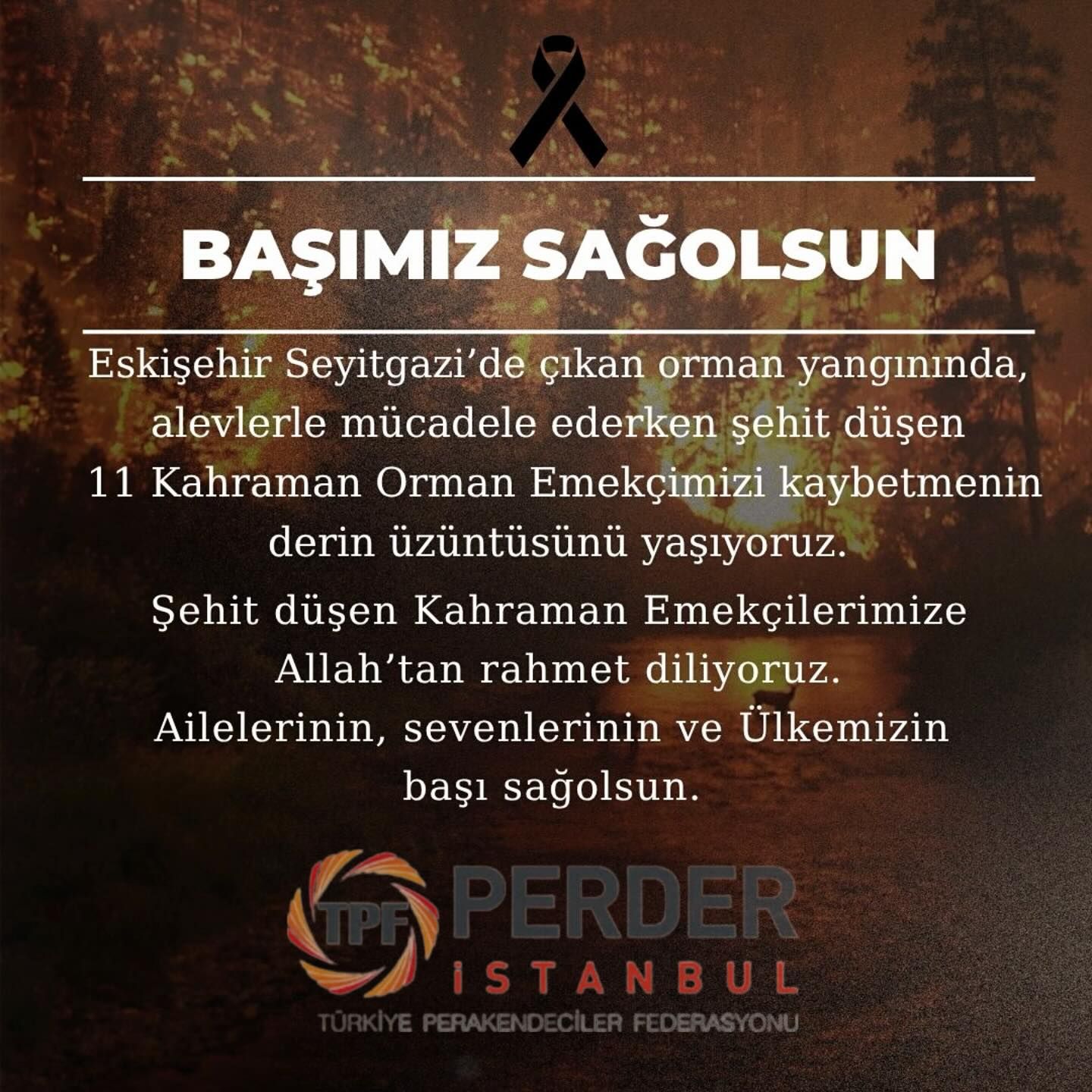 Eskişehir’de Orman Yangınında 11 Kahramanımızı Kaybettik